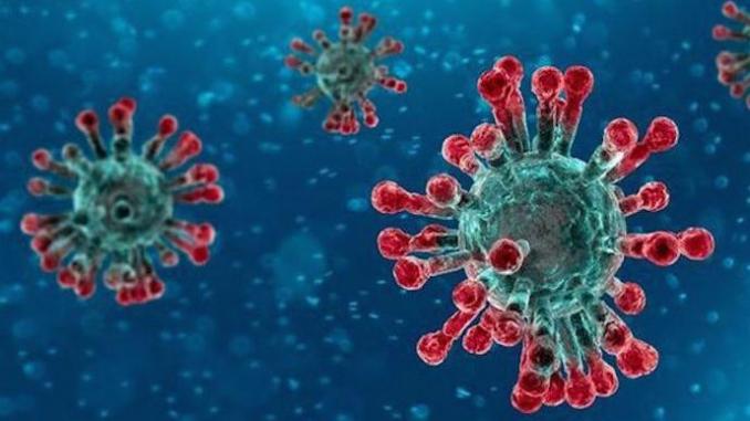 coronavirus