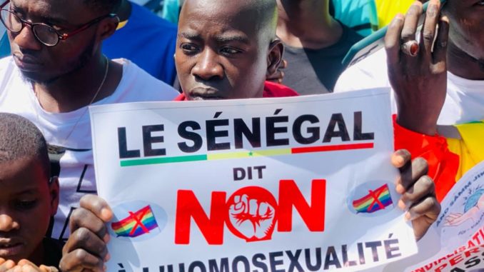 non a lhomosexualite au senegal (20)