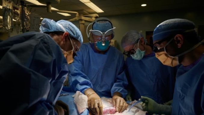 chirurgie
