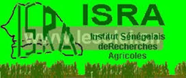 images_0-ISRA