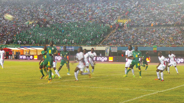 Lions-du-foot-ok